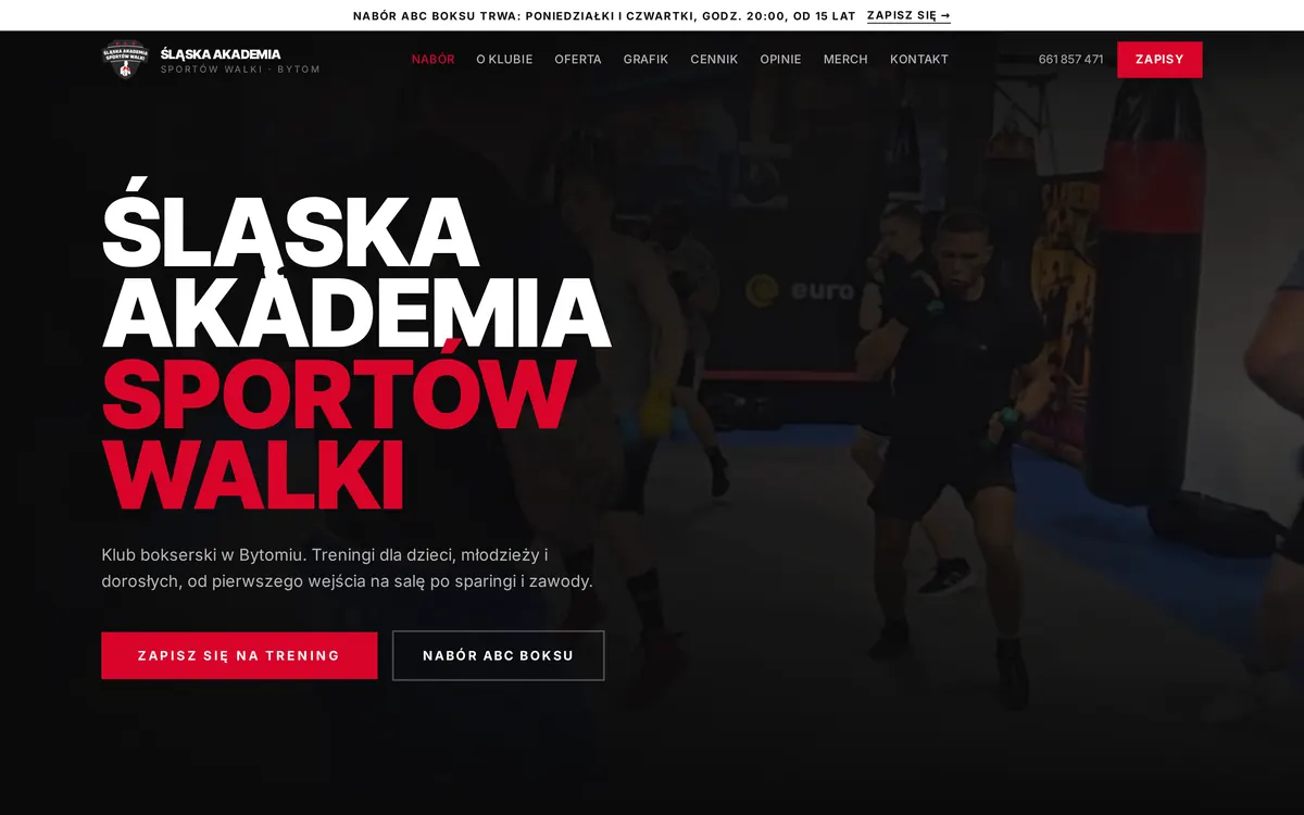 Śląska Akademia Sportów Walki